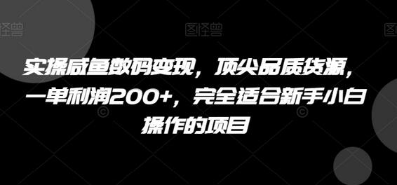 实操咸鱼数码变现，顶尖品质货源，一单利润200+，完全适合新手小白操作的项目-七哥资源网 - 全网最全创业项目资源