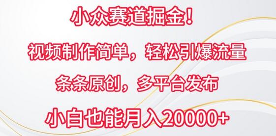 小众赛道掘金，视频制作简单，轻松引爆流量，条条原创，多平台发布-七哥资源网 - 全网最全创业项目资源