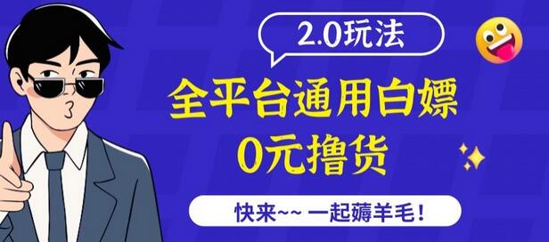 外面收费2980的全平台通用撸货项目2.0玩法-七哥资源网 - 全网最全创业项目资源