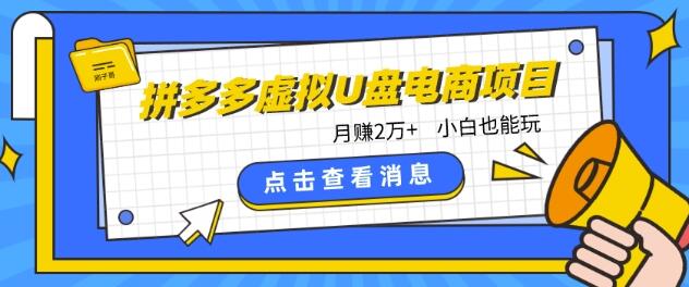 拼多多虚拟U盘电商红利项目：月赚2万+，新手小白也能玩-七哥资源网 - 全网最全创业项目资源