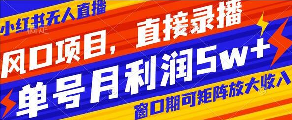 风口项目，小红书无人直播带货，直接录播，可矩阵，月入5w+-七哥资源网 - 全网最全创业项目资源