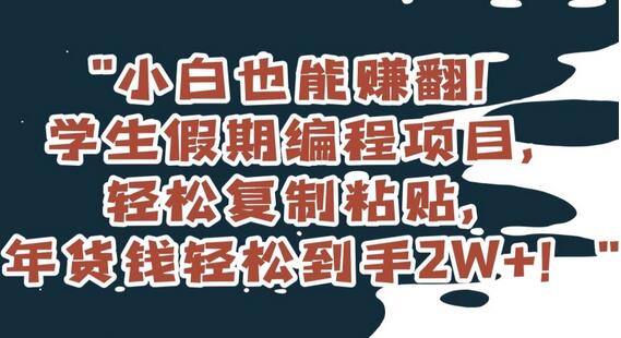 小白也能赚翻！学生假期编程项目，轻松复制粘贴，年货钱轻松到手2W+-七哥资源网 - 全网最全创业项目资源