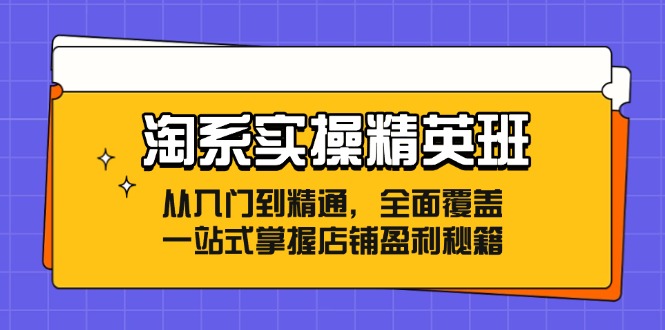 （12276期）淘系实操精英班：从入门到精通，全面覆盖，一站式掌握店铺盈利秘籍-七哥资源网 - 全网最全创业项目资源