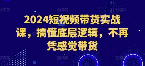 2024短视频带货实战课，搞懂底层逻辑，不再凭感觉带货-七哥资源网 - 全网最全创业项目资源