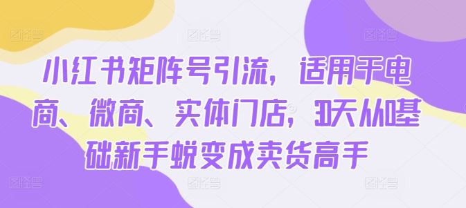 小红书矩阵号引流，适用于电商、微商、实体门店，30天从0基础新手蜕变成卖货高手-七哥资源网 - 全网最全创业项目资源