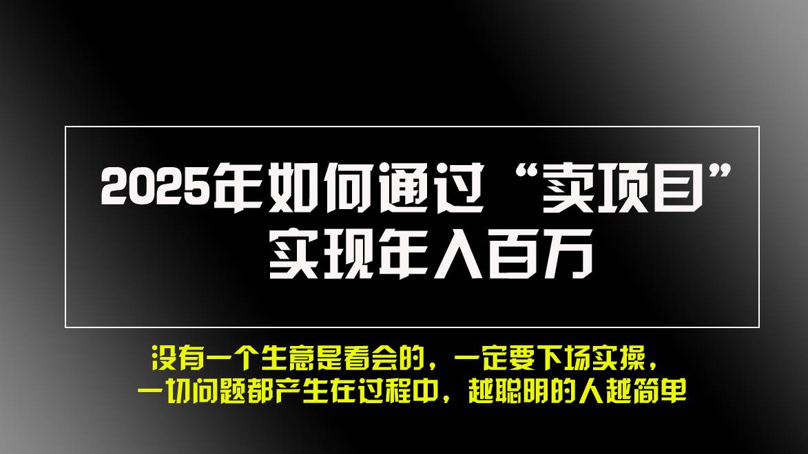 （13468期）2025年如何通过“卖项目”实现年入百万，做网赚必看！！-七哥资源网 - 全网最全创业项目资源