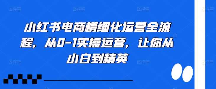 小红书电商精细化运营全流程，从0-1实操运营，让你从小白到精英-七哥资源网 - 全网最全创业项目资源