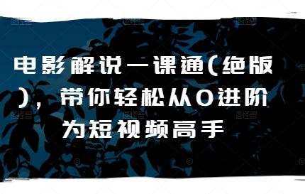 电影解说一课通(绝版)，带你轻松从0进阶为短视频高手-七哥资源网 - 全网最全创业项目资源