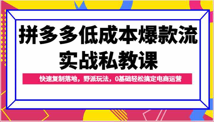 拼多多低成本爆款流实战私教课，快速复制落地，野派玩法，0基础轻松搞定电商运营-七哥资源网 - 全网最全创业项目资源