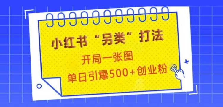 小红书“另类”打法，开局一张图，单日引爆500+精准创业粉【揭秘】-七哥资源网 - 全网最全创业项目资源