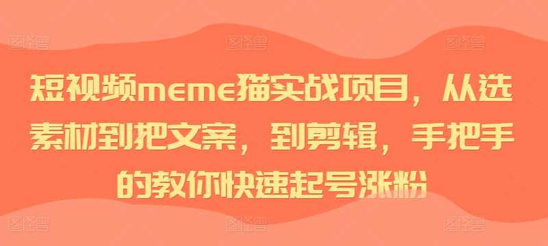 短视频meme猫实战项目，从选素材到把文案，到剪辑，手把手的教你快速起号涨粉-七哥资源网 - 全网最全创业项目资源