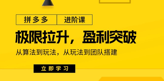（11435期）拼多多·进阶课：极限拉升/盈利突破：从算法到玩法 从玩法到团队搭建-18节-七哥资源网 - 全网最全创业项目资源