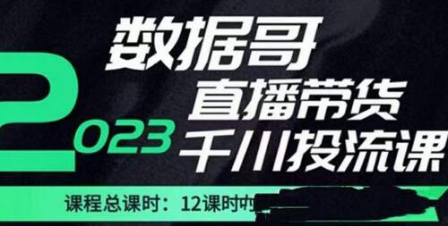 数据哥2023直播电商巨量千川付费投流实操课，快速掌握直播带货运营投放策略-七哥资源网 - 全网最全创业项目资源