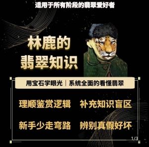 林鹿的翡翠知识，​用宝石眼光，系统全面的看懂翡翠-七哥资源网 - 全网最全创业项目资源