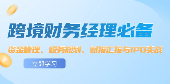（12323期）跨境 财务经理必备：资金管理、税务规划、财报汇报与IPO实战-七哥资源网 - 全网最全创业项目资源