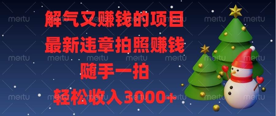 （13804期）解气又赚钱的项目，最新违章拍照赚钱，随手一拍，轻松收入3000+-七哥资源网 - 全网最全创业项目资源