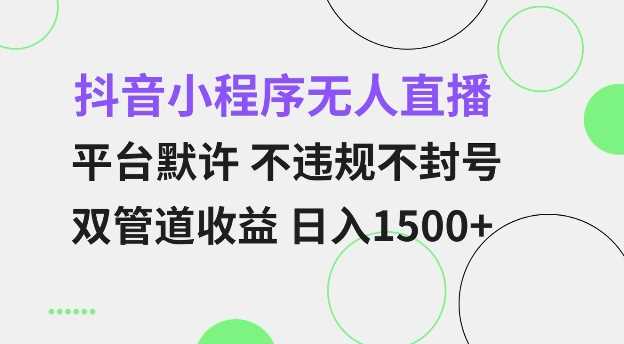 抖音小程序无人直播 平台默许 不违规不封号 双管道收益 日入多张 小白也能轻松操作【仅揭秘】-七哥资源网 - 全网最全创业项目资源