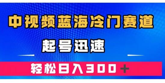 中视频蓝海冷门赛道，韩国视频奇闻解说，起号迅速，日入300＋-七哥资源网 - 全网最全创业项目资源