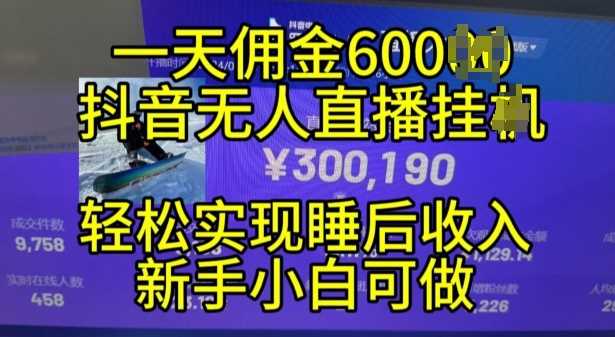 2024年11月抖音无人直播带货挂JI，小白的梦想之路，全天24小时收益不间断实现真正管道收益【揭秘】-七哥资源网 - 全网最全创业项目资源