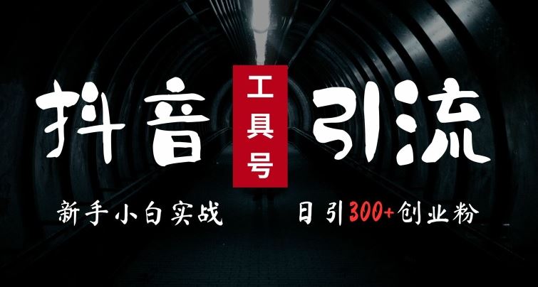 2024最新抖音工具号引流玩法，高效日引300+创业粉，当天变现5k，小白也可成为实战高手-七哥资源网 - 全网最全创业项目资源