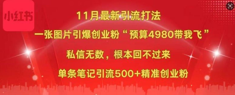 小红书11月最新图片打粉，一张图片引爆创业粉，“预算4980带我飞”，单条引流500+精准创业粉-七哥资源网 - 全网最全创业项目资源