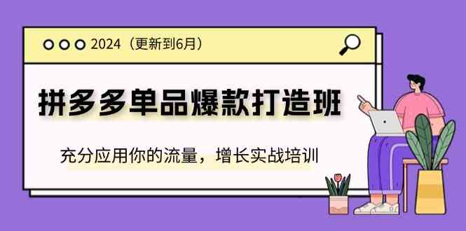 2024拼多多单品爆款打造班，充分应用你的流量，增长实战培训(更新6月)-七哥资源网 - 全网最全创业项目资源