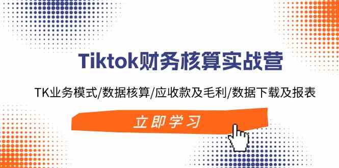 Tiktok财务核算实战营：TK业务模式/数据核算/应收款及毛利/数据下载及报表-七哥资源网 - 全网最全创业项目资源