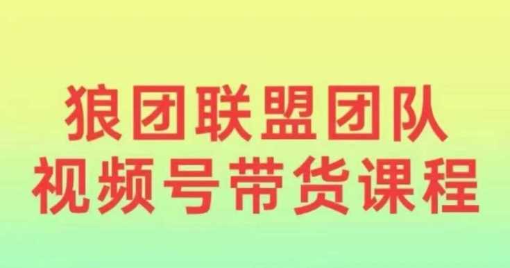 狼团联盟2024视频号带货，0基础小白快速入局视频号-七哥资源网 - 全网最全创业项目资源