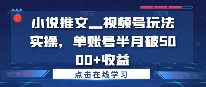 小说推文—视频号玩法实操，单账号半月破5000+收益-七哥资源网 - 全网最全创业项目资源