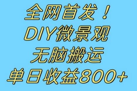 全网首发冷门赛道！DIY微景观，无脑搬运视频，日收益800+-七哥资源网 - 全网最全创业项目资源
