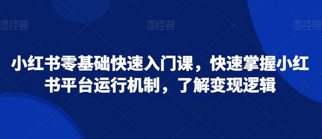 小红书零基础快速入门课，快速掌握小红书平台运行机制，了解变现逻辑-七哥资源网 - 全网最全创业项目资源