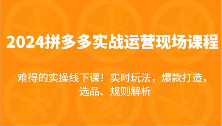 2024拼多多实战运营现场课，实时玩法，爆款打造，选品、规则解析，难得的实操线下课！-七哥资源网 - 全网最全创业项目资源