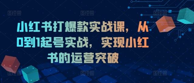 小红书打爆款实战课，从0到1起号实战，实现小红书的运营突破-七哥资源网 - 全网最全创业项目资源