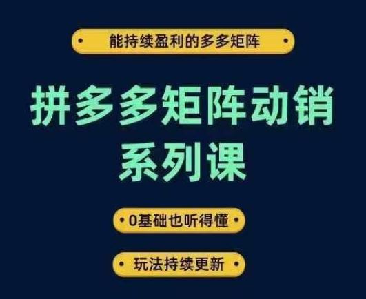 拼多多矩阵动销系列课，能持续盈利的多多矩阵，0基础也听得懂，玩法持续更新-七哥资源网 - 全网最全创业项目资源