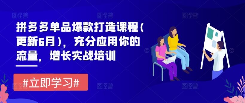 拼多多单品爆款打造课程(更新6月)，充分应用你的流量，增长实战培训-七哥资源网 - 全网最全创业项目资源