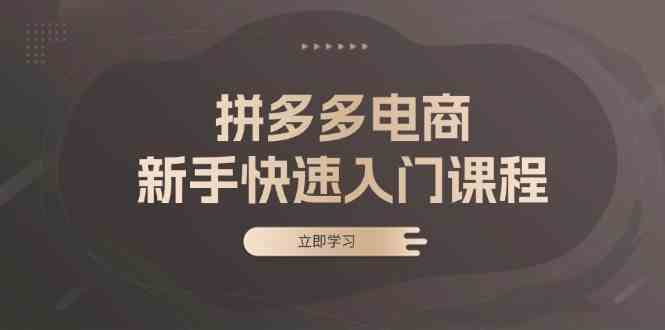 拼多多电商新手快速入门课程：涵盖基础、实战与选款，助力小白轻松上手-七哥资源网 - 全网最全创业项目资源