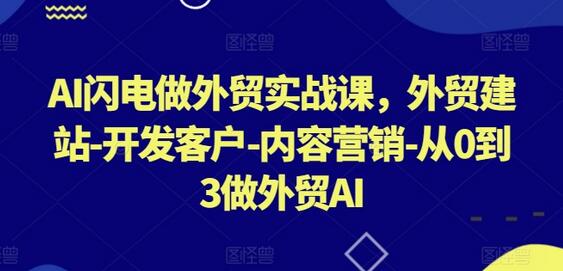 AI闪电做外贸实战课，​外贸建站-开发客户-内容营销-从0到3做外贸AI-七哥资源网 - 全网最全创业项目资源