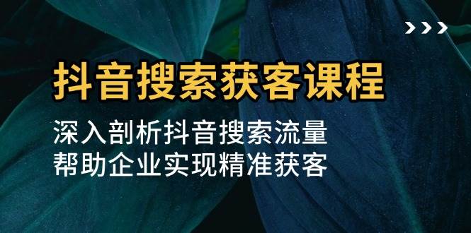 （13465期）抖音搜索获客课程：深入剖析抖音搜索流量，帮助企业实现精准获客-七哥资源网 - 全网最全创业项目资源