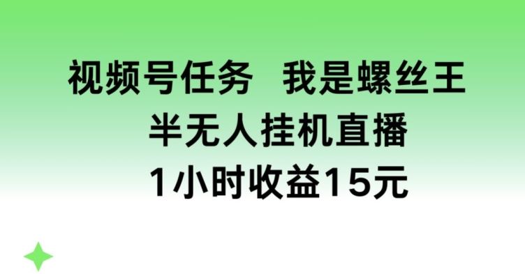 视频号任务，我是螺丝王， 半无人挂机1小时收益15元【揭秘】-七哥资源网 - 全网最全创业项目资源