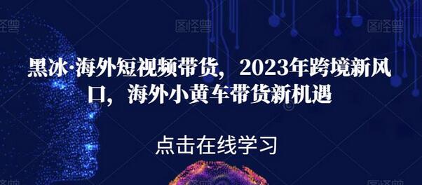 黑冰·海外短视频带货，2023年跨境新风口，海外小黄车带货新机遇-七哥资源网 - 全网最全创业项目资源