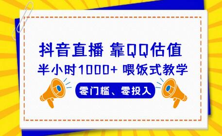 QQ号估值直播 半小时1000+，零门槛、零投入，喂饭式教学、小白首选-七哥资源网 - 全网最全创业项目资源