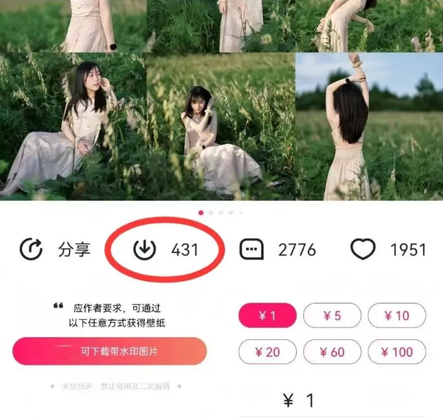 图片[2]-最新图虫搬运项目，收益无上限，利用AI小白也可日赚500+-七哥资源网 - 全网最全创业项目资源