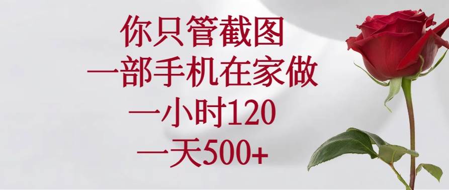 （14248期）你只管截图，一部手机在家做，一小时120，一天500+-七哥资源网 - 全网最全创业项目资源