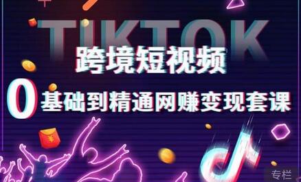 跨境短视频TIKTOK 0基础到精通网赚变现套课，跨境短视频独立站带货变现技巧-七哥资源网 - 全网最全创业项目资源