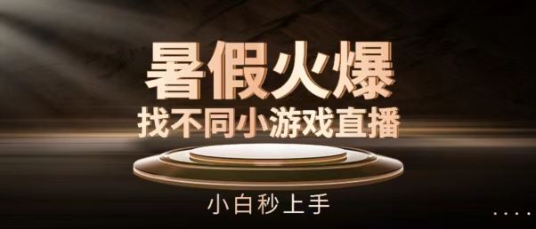 暑假火爆找不同小游戏直播间，小白秒上手【揭秘】-七哥资源网 - 全网最全创业项目资源