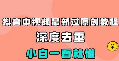 抖音中视频最新过原创教程，深度去重，小白一看就懂-七哥资源网 - 全网最全创业项目资源
