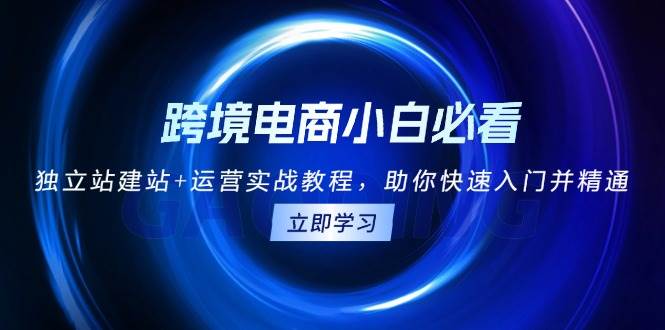 （13503期）跨境电商小白必看！独立站建站+运营实战教程，助你快速入门并精通-七哥资源网 - 全网最全创业项目资源