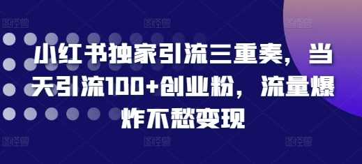 小红书独家引流三重奏，当天引流100+创业粉，流量爆炸不愁变现【揭秘】-七哥资源网 - 全网最全创业项目资源