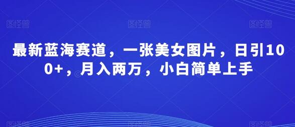 最新蓝海赛道，一张美女图片，日引100+，月入两万，小白简单上手-七哥资源网 - 全网最全创业项目资源