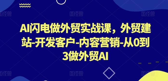 AI闪电做外贸实战课，​外贸建站-开发客户-内容营销-从0到3做外贸AI（更新）-七哥资源网 - 全网最全创业项目资源